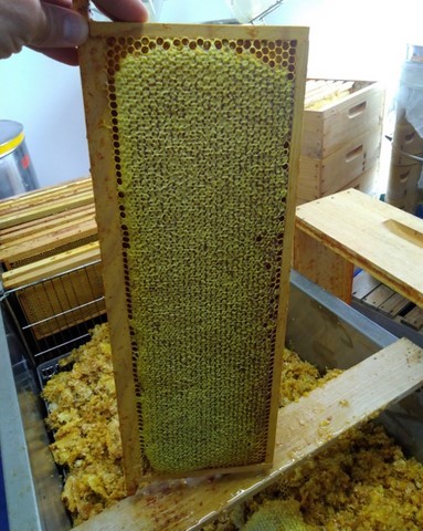 cadre de miel